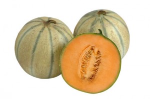 melon cantalupa