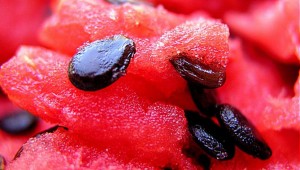 pestki arbuza korzysci zdrowotne