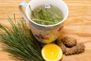 Herbatka witaminowa z igieł sosnowych