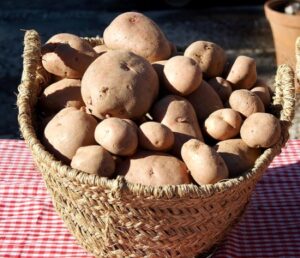Lecznicze właściwości ziemniaków przepisy
