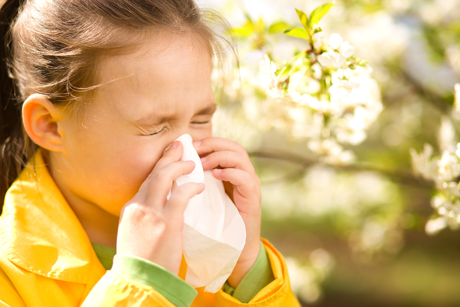 Alergia na pyłki, katar sienny - domowe sposoby leczenia