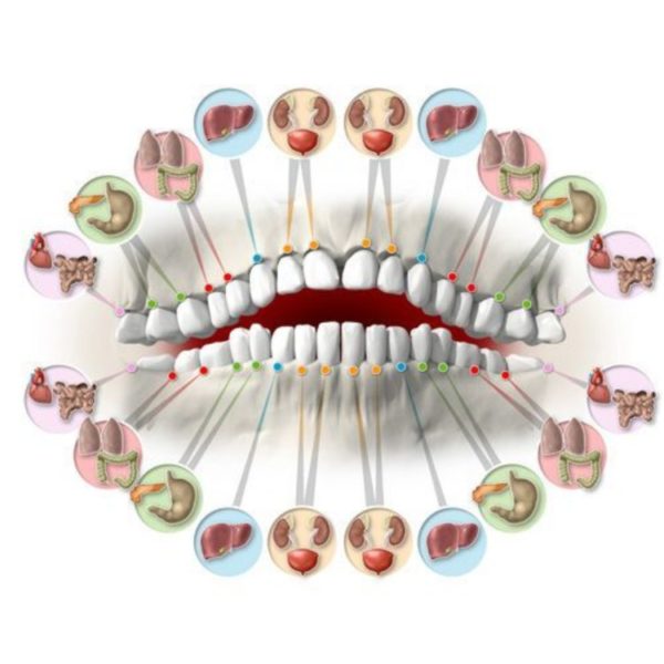 Co mówią o nas zęby
