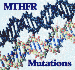 MTHFR gen mutacja