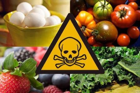 żywność zawierająca toksyny