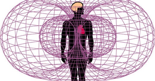 pole elektromagnetyczne serca