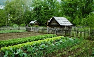 Rolnictwo małe rodzinne gospodarstwa