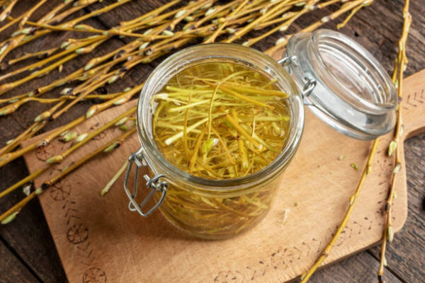 How To Use Willow Bark For Pain