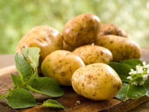 ziemniaki właściwości lecznicze