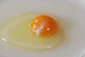żółtko białko świeżego jajka