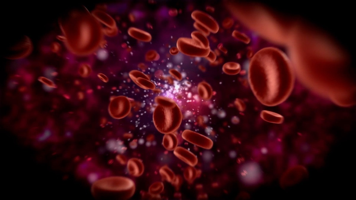 Co można wyczytać z wyników profilaktycznych badań krwi
