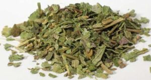 ziele lobelii stroiczki indiański tytoń