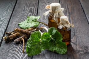 Domowy olejek z łopianu - przepis i zastosowania