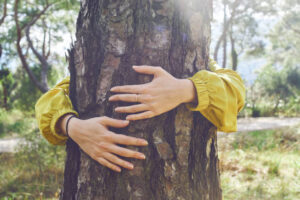Drzewa uzdrawiają ciało, duszę i emocje