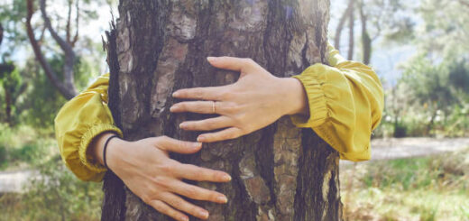 Drzewa uzdrawiają ciało, duszę i emocje