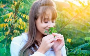 Płuca i ograny powiązane. Jak je wzmocnić jesienią ziołami