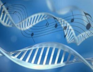Symfonia życia - muzyka zapisana w kodzie DNA
