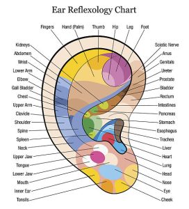 refleksologia ucha masaż uszu