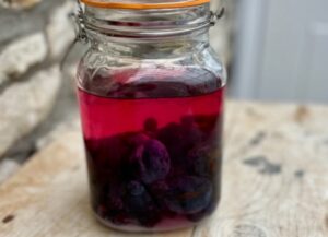 Odwar ze śliwek tarniny